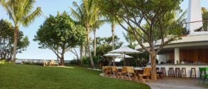 Tropicale Vignette