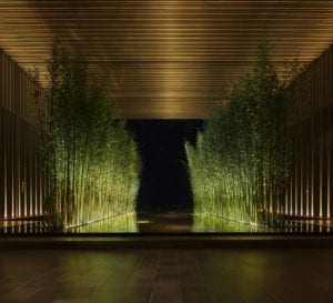 ザ・サンヤ・エディション「Bamboo Forest」