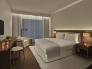 One Bedroom Apartment