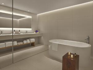 Penthouse Bathroom