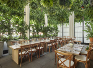 Espacio de recepción con jardín en el techo