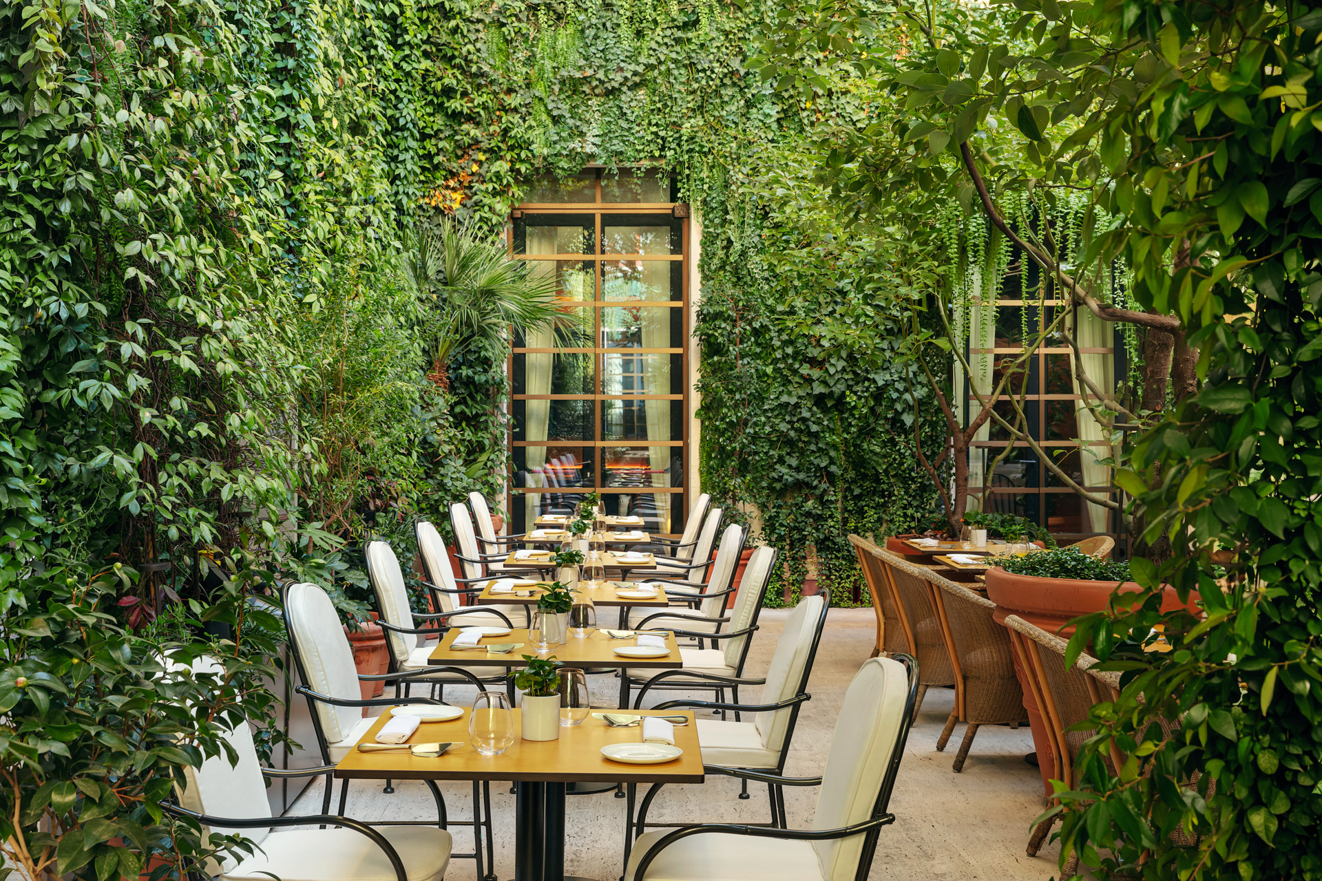Restaurant dining tables and chairs set in a courtyard surrounded by vine-covered walls.