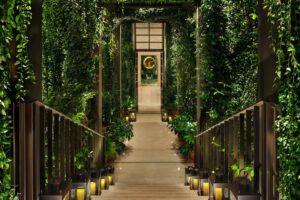 A staircase leading down to a walkway surrounded by foliage and ending at an open doorway.
